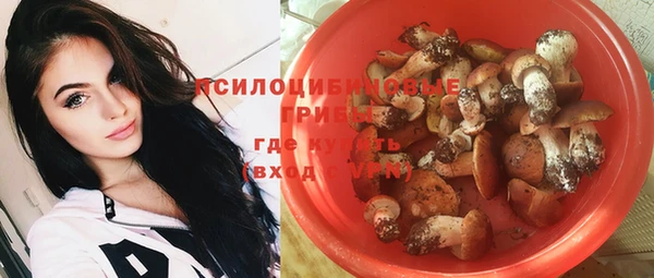 ALPHA PVP Абдулино